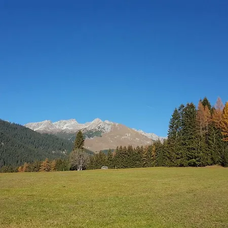 شقة De Nussi's 2 باخ